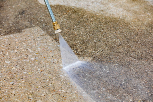 Best Roof Washing  in Towamensing Trails, PA